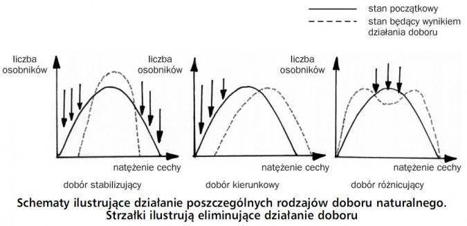 Dopasowanie gatunku ‌do nastroju: Klucz do satysfakcjonującej lektury