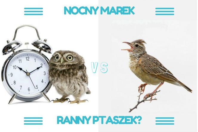 Poznaj swój chronotyp: klucz⁢ do efektywności